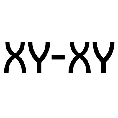 XY商標代理 一站式企業商標查詢與注冊服務指南